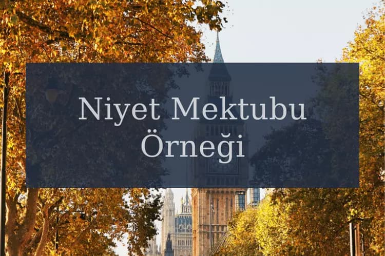 İngiltere Öğrenci Vizesi Niyet Mektubu Örneği Nerede Bulabilirim?